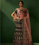 Multicolour Embroidered Lehenga choli with Blouse